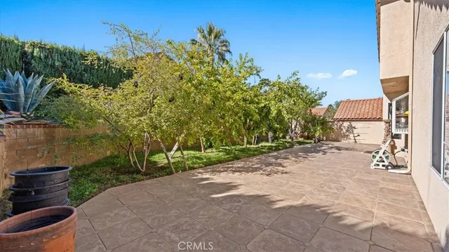 a view of a yard with plants and a fountain