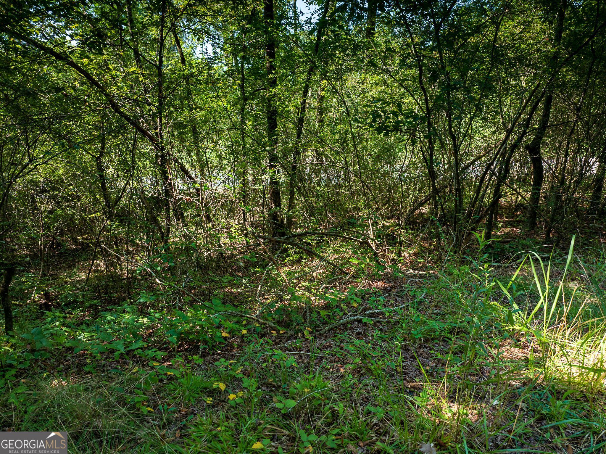 1973 Warrior Trafford Road Warrior, AL 35180 - Photo 53 of 82 Gallery Image 53