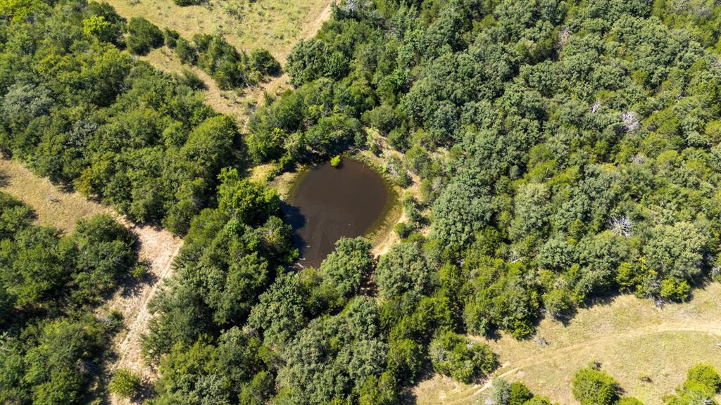 1957 Prairie Grove Road Valley View, TX 76272 - Photo 16 of 28 a view of a yard with a tree