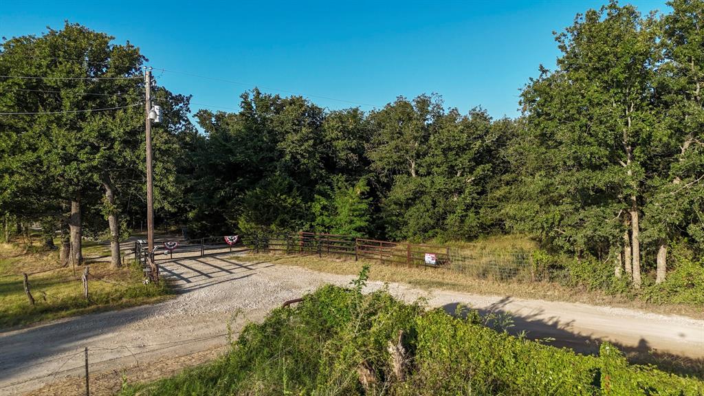 1957 Prairie Grove Road Valley View, TX 76272 - Photo 2 of 28 a view of a yard with plants and trees
