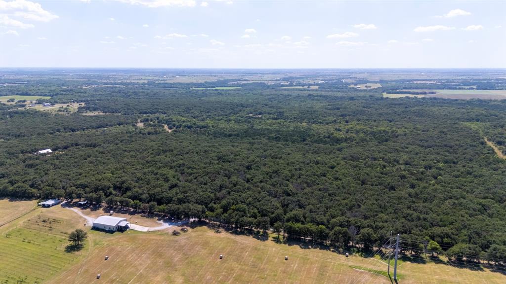 1957 Prairie Grove Road Valley View, TX 76272 - Photo 23 of 28 a view of a forest with trees in the background