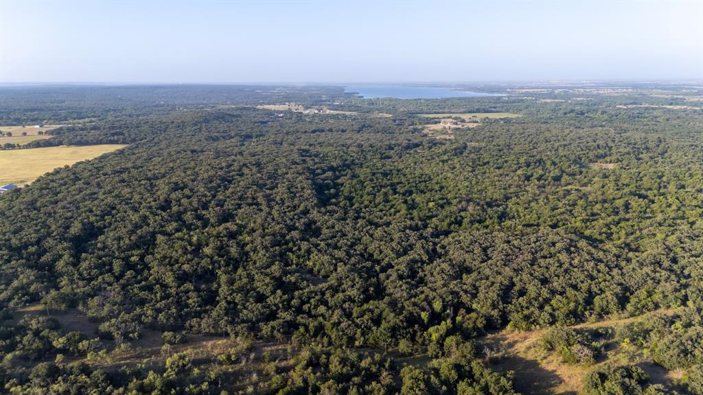 1957 Prairie Grove Road Valley View, TX 76272 - Photo 26 of 28 an aerial view of forest