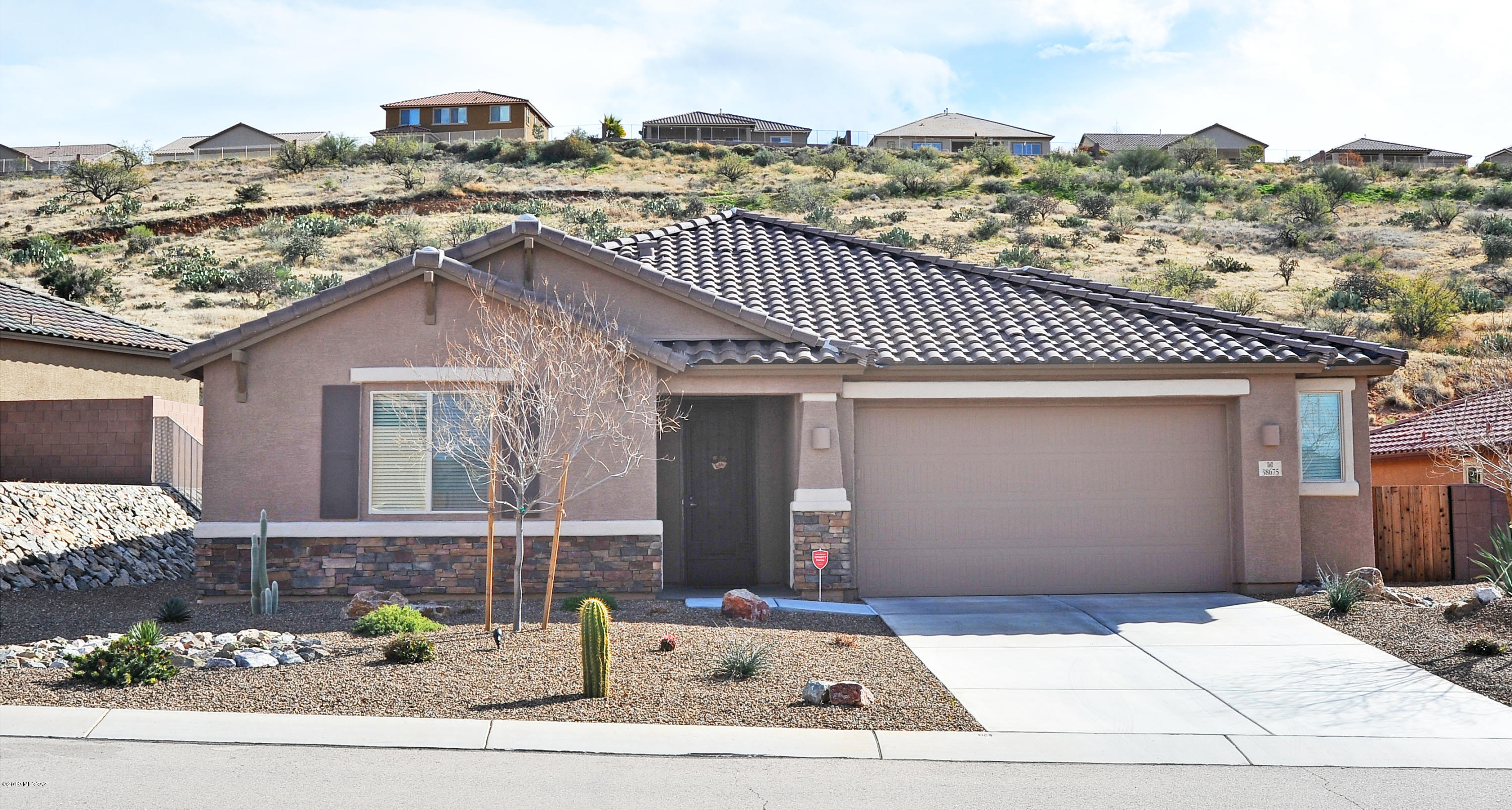 38675 South Running Roses Lane Tucson, AZ 85739 - Photo 2 of 42 Gallery Image 2