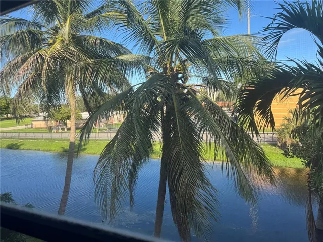 a view of a palm trees in front of a house