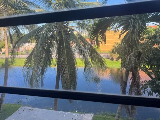 a view of a palm plant from a window