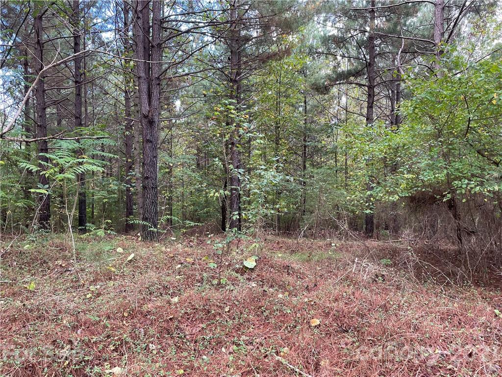 0 Bitterroot Circle Rutherfordton, NC 28139 - Photo 2 of 4 a view of a forest with trees in the background