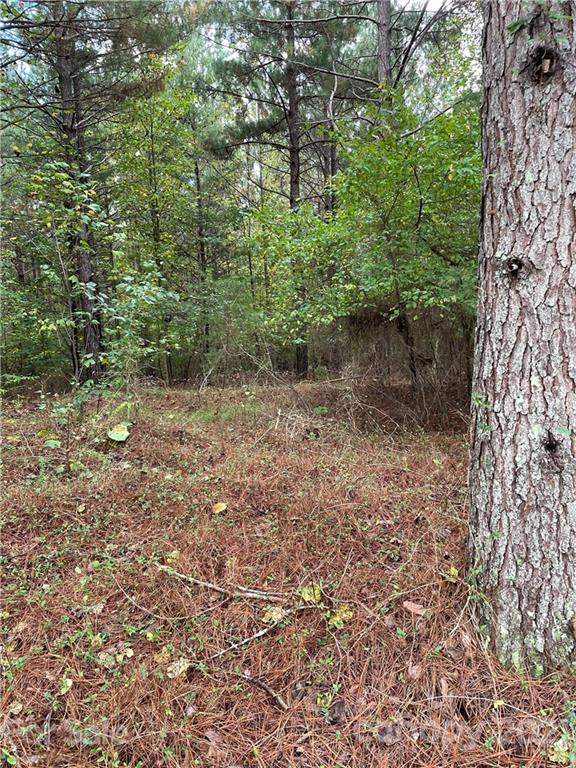 0 Bitterroot Circle Rutherfordton, NC 28139 - Photo 3 of 4 a view of a forest with trees