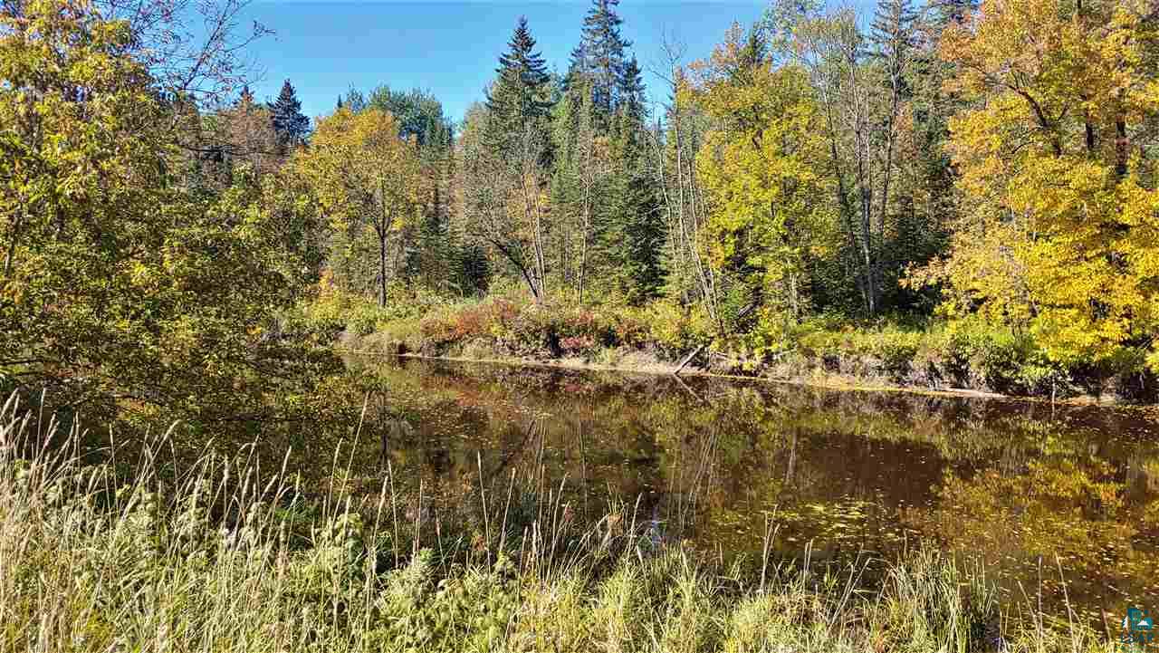 12084 West Riek Road Cook, MN 55723 - Photo 4 of 21