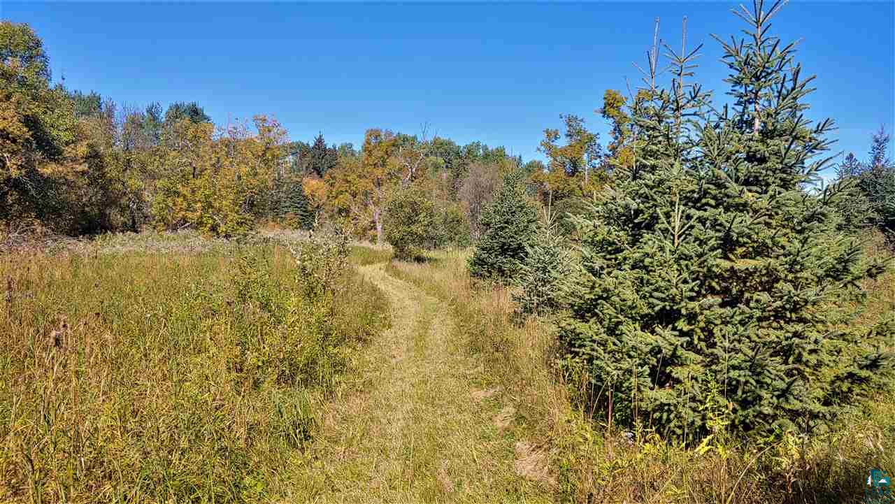 12084 West Riek Road Cook, MN 55723 - Photo 6 of 21