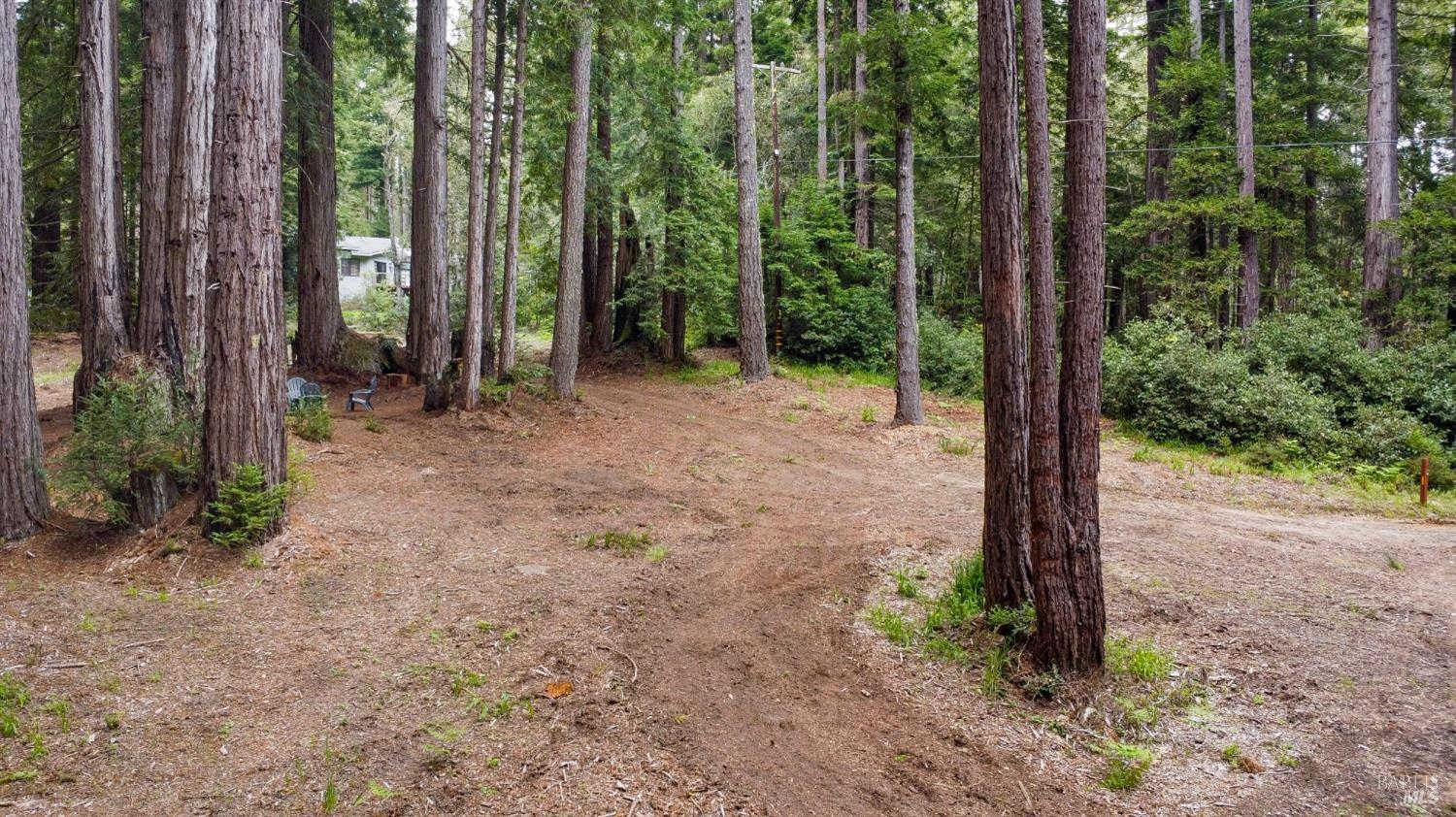 22039 Timber Cove Road Jenner, CA 95450 - Photo 15 of 39 a view of a forest with trees in the background