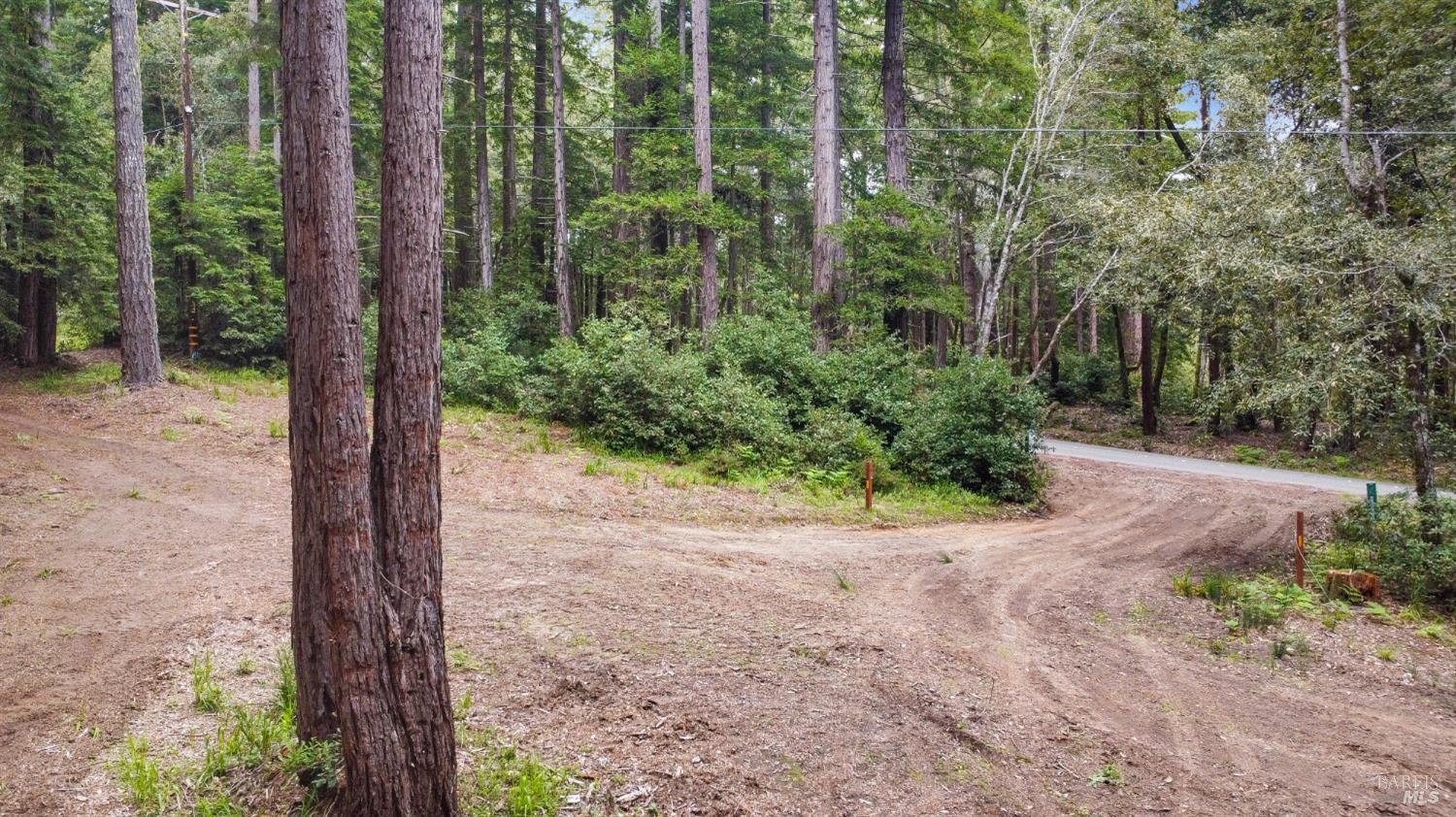 22039 Timber Cove Road Jenner, CA 95450 - Photo 16 of 39 a view of a yard with plants and trees