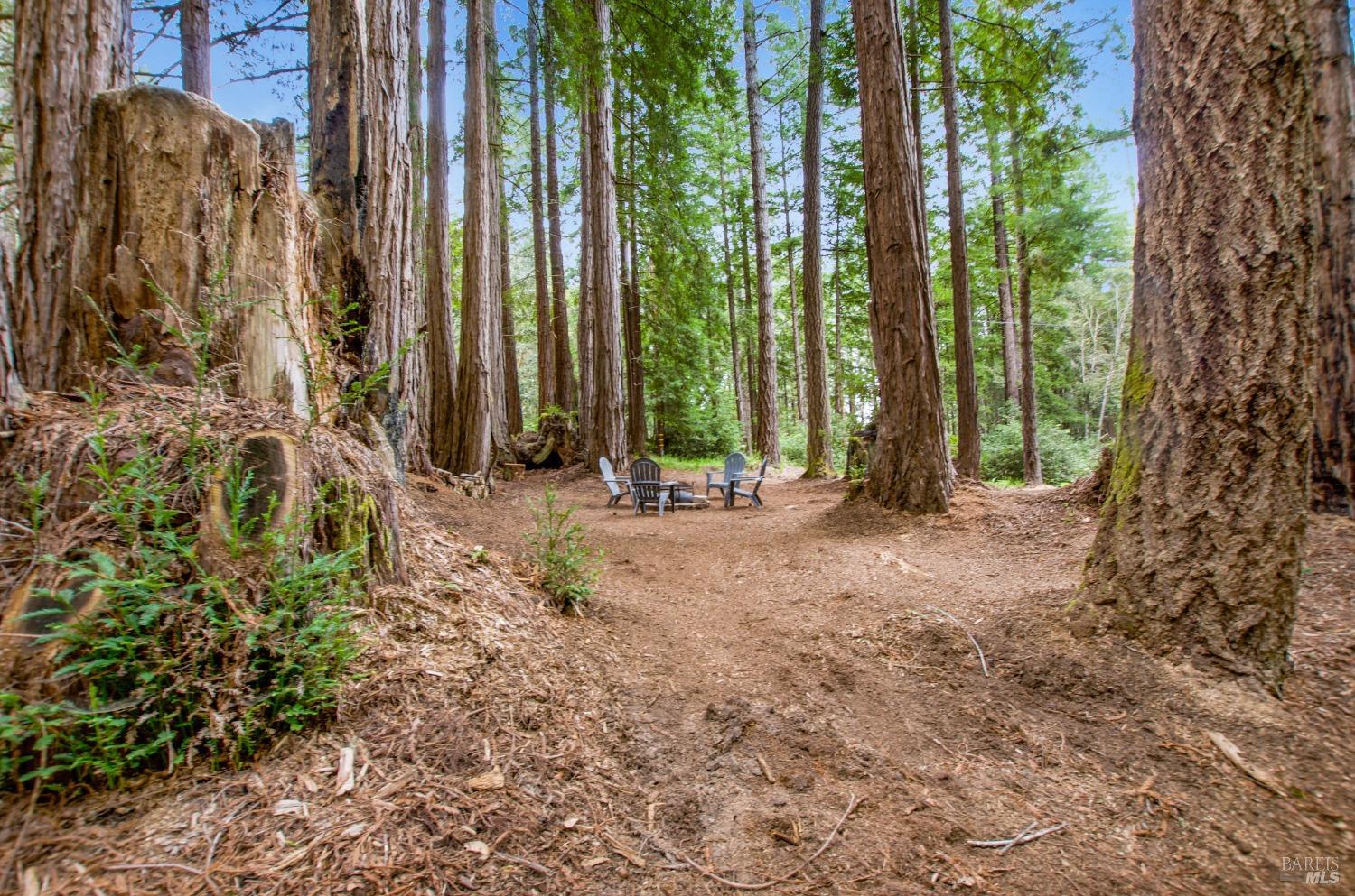 22039 Timber Cove Road Jenner, CA 95450 - Photo 17 of 39 a view of outdoor space with deck and tree