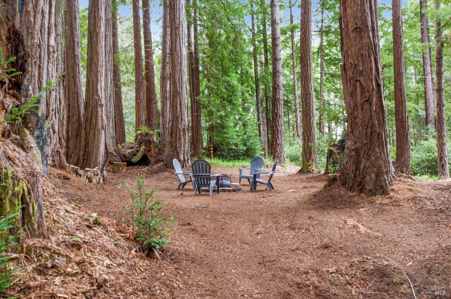 22039 Timber Cove Road Jenner, CA 95450 - Photo 18 of 39 a view of a backyard with sitting area and furniture