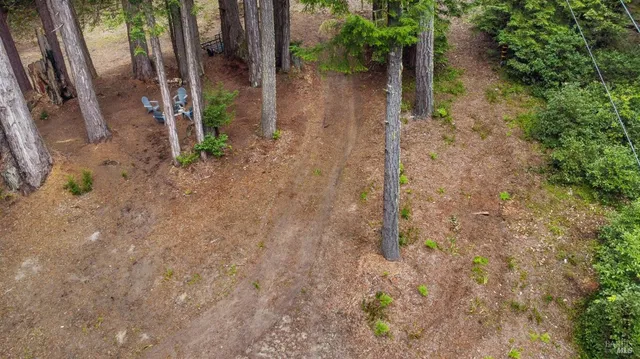 a backyard of a house with lots of green space