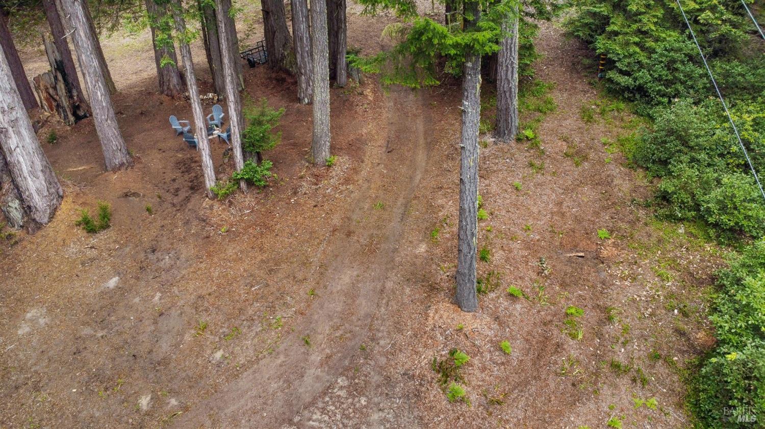 22039 Timber Cove Road Jenner, CA 95450 - Photo 2 of 39 a backyard of a house with lots of green space