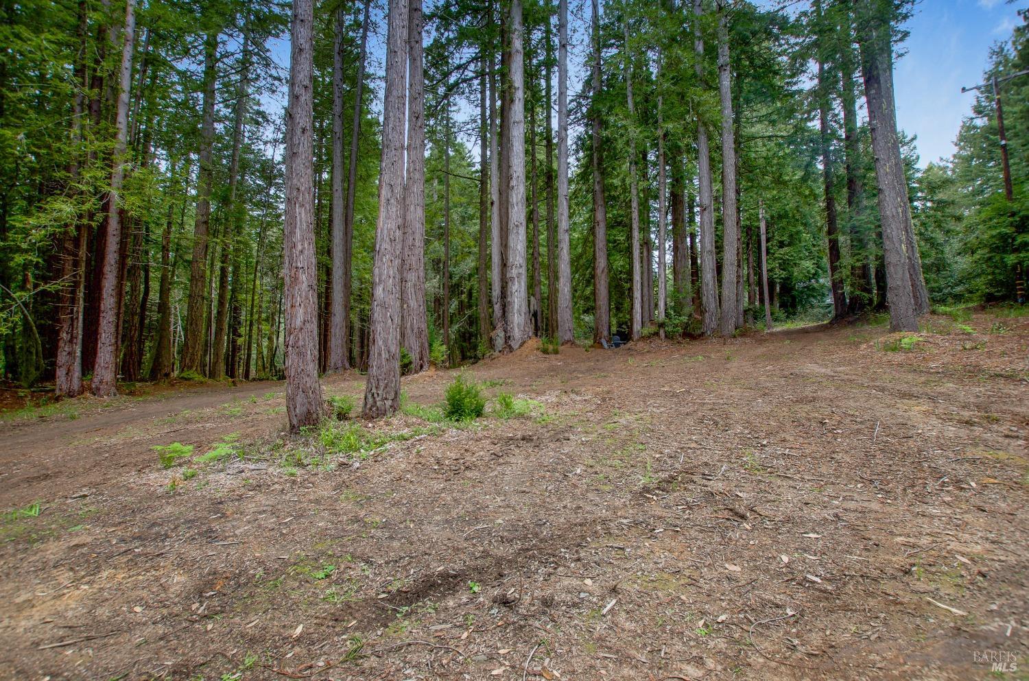 22039 Timber Cove Road Jenner, CA 95450 - Photo 23 of 39 a backyard of a house with lots of green space