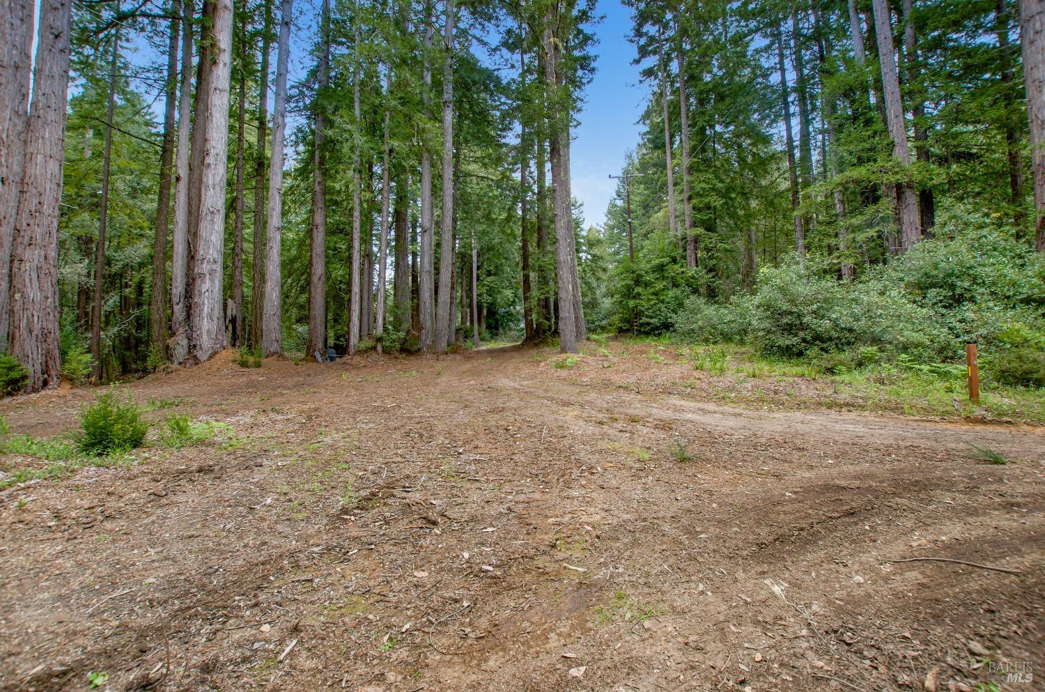 22039 Timber Cove Road Jenner, CA 95450 - Photo 24 of 39 a view of a field with trees in the background