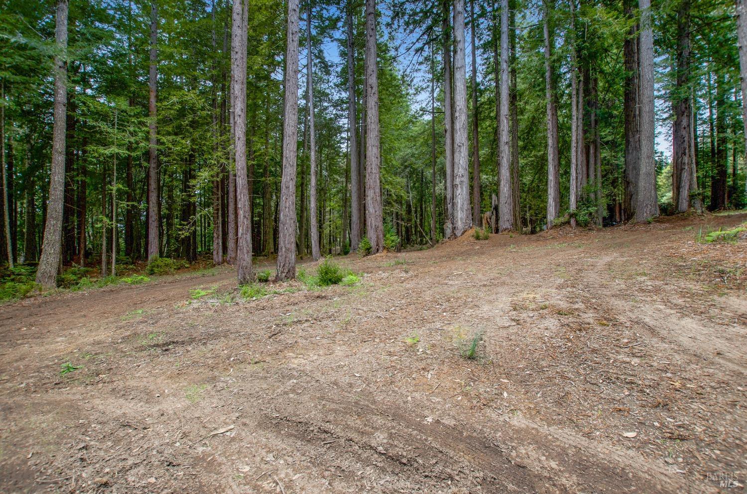 22039 Timber Cove Road Jenner, CA 95450 - Photo 25 of 39 a view of outdoor space with trees