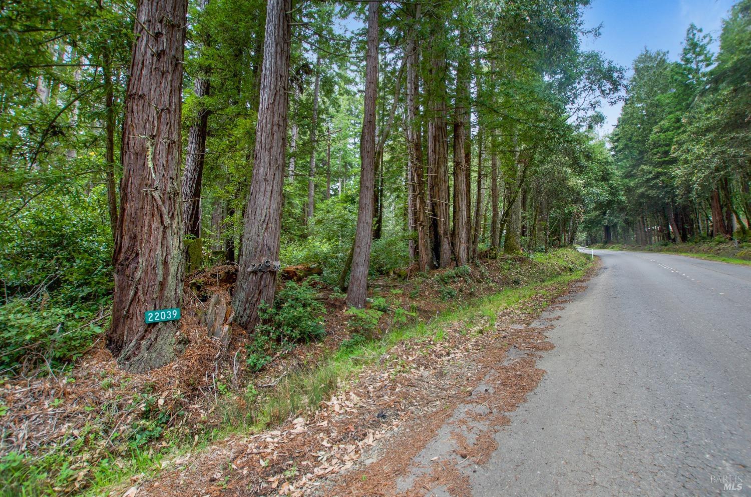 22039 Timber Cove Road Jenner, CA 95450 - Photo 27 of 39 a view of backyard with green space