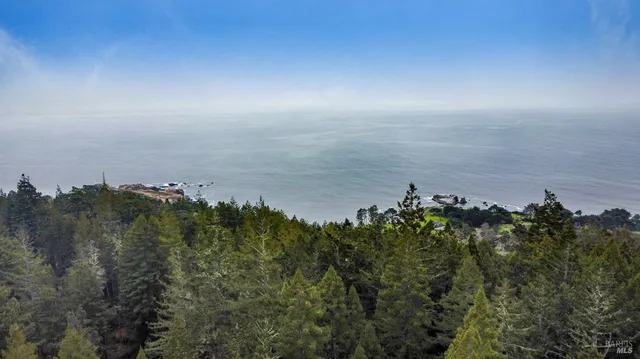 a view of a field with an ocean