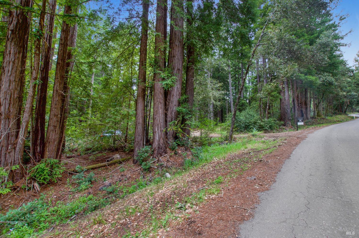22039 Timber Cove Road Jenner, CA 95450 - Photo 32 of 39 a view of a backyard