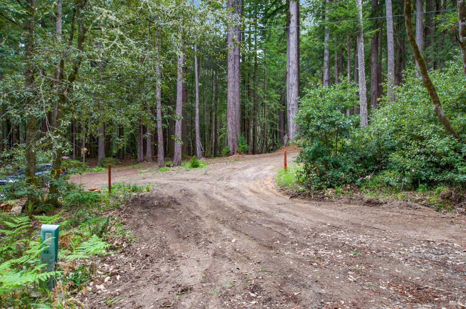 22039 Timber Cove Road Jenner, CA 95450 - Photo 34 of 39 a view of outdoor space with trees all around