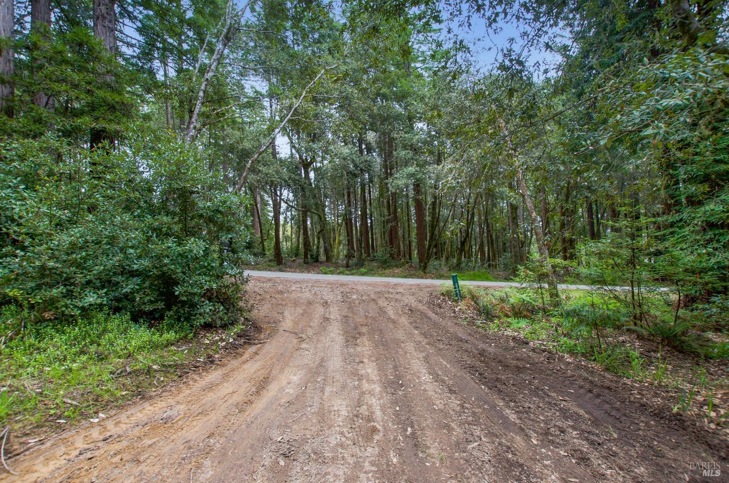 22039 Timber Cove Road Jenner, CA 95450 - Photo 36 of 39 a view of outdoor space and yard