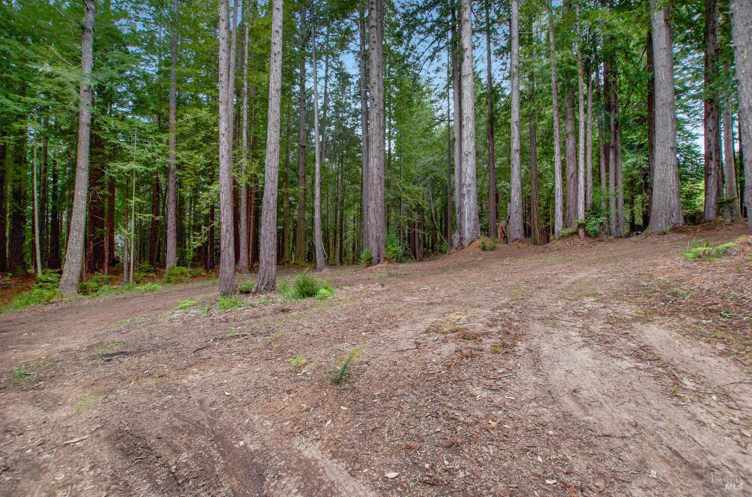 22039 Timber Cove Road Jenner, CA 95450 - Photo 37 of 39 a view of outdoor space with deck and yard