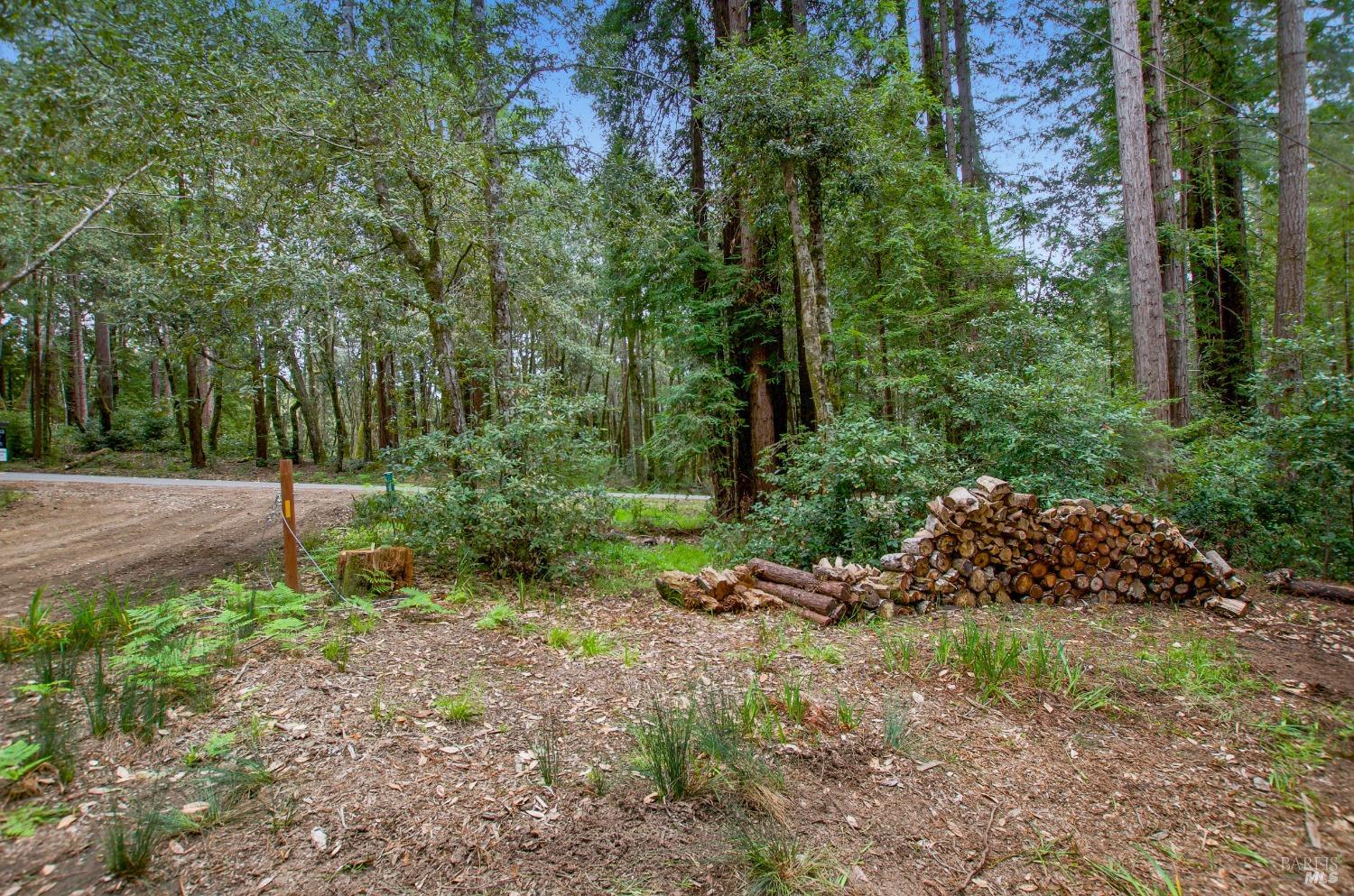 22039 Timber Cove Road Jenner, CA 95450 - Photo 38 of 39 a green field with lots of trees
