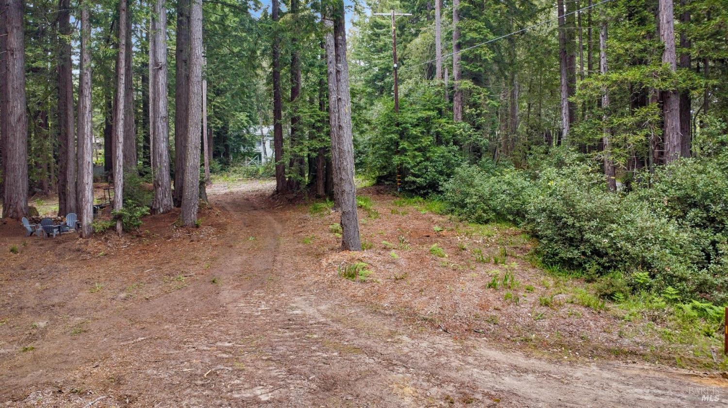 22039 Timber Cove Road Jenner, CA 95450 - Photo 7 of 39 a view of a forest with trees in the background