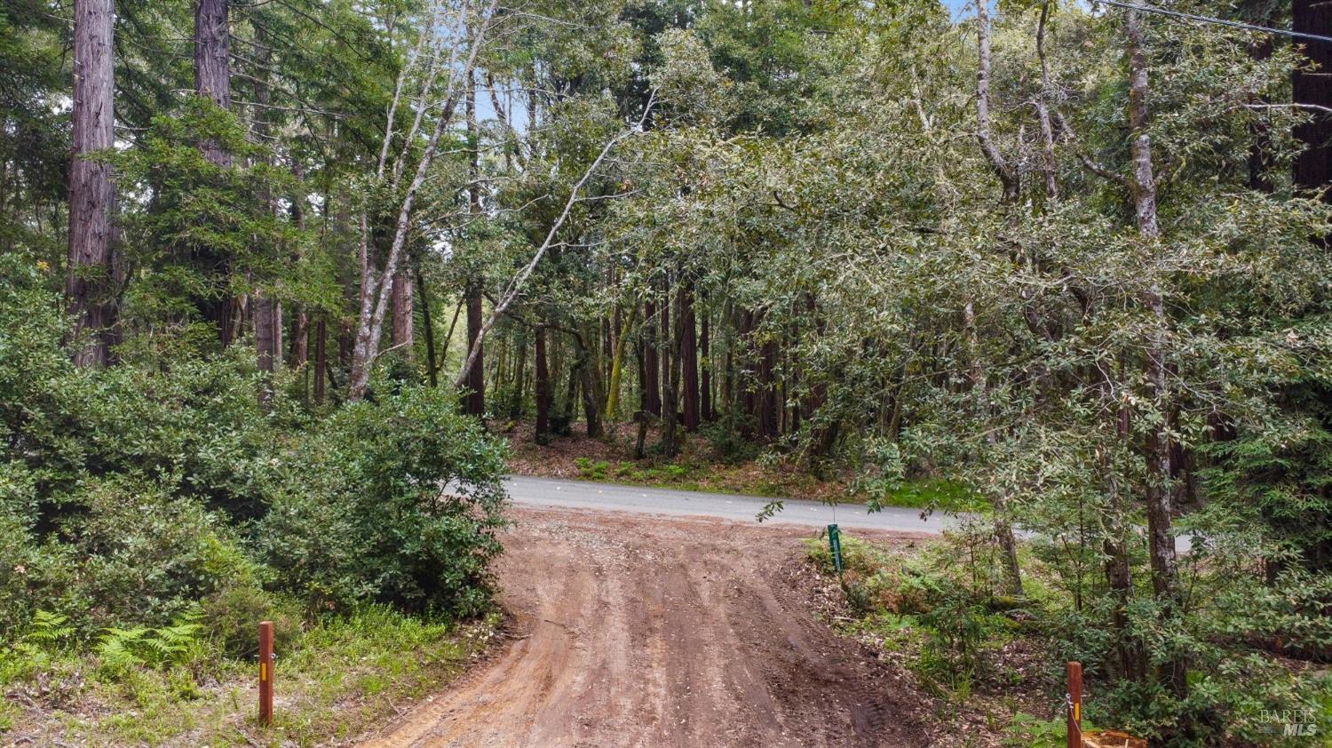 22039 Timber Cove Road Jenner, CA 95450 - Photo 10 of 39 a view of a yard with plants and large trees