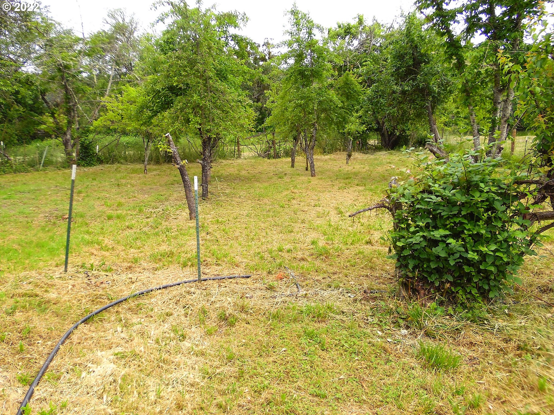 283 Weigle Road Myrtle Creek, OR 97457 - Photo 24 of 31 Gallery Image 24