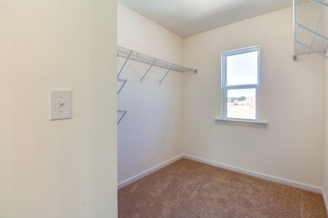 715 Widgeon Way Crestview, FL 32539 - Photo 7 of 16 Arden master walk in closet