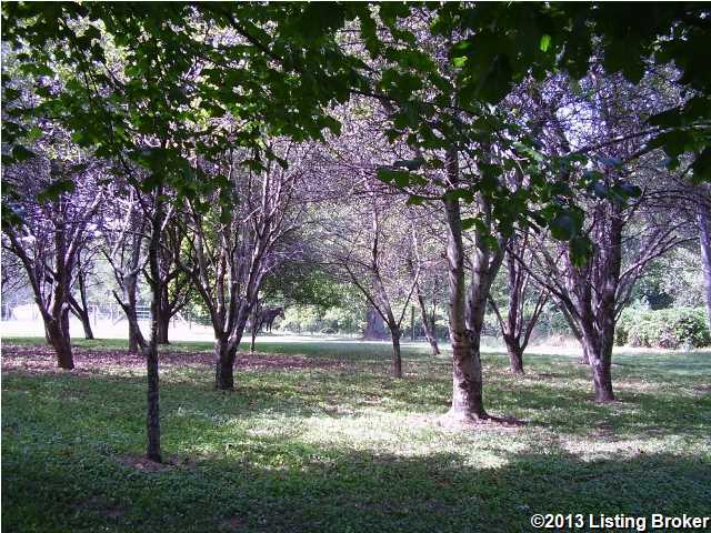474 Van Buren Road Mount Eden, KY 40046 - Photo 27 of 30 Additional Photo