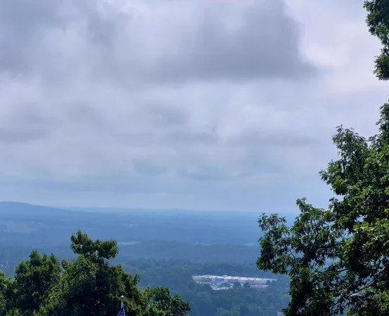 a view of outdoor space with sign board and garden