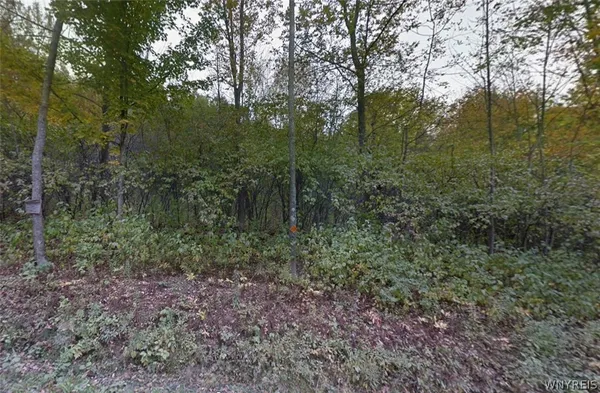 $86,900 | 0 Buddle Road, Richfield Springs, NY 13439