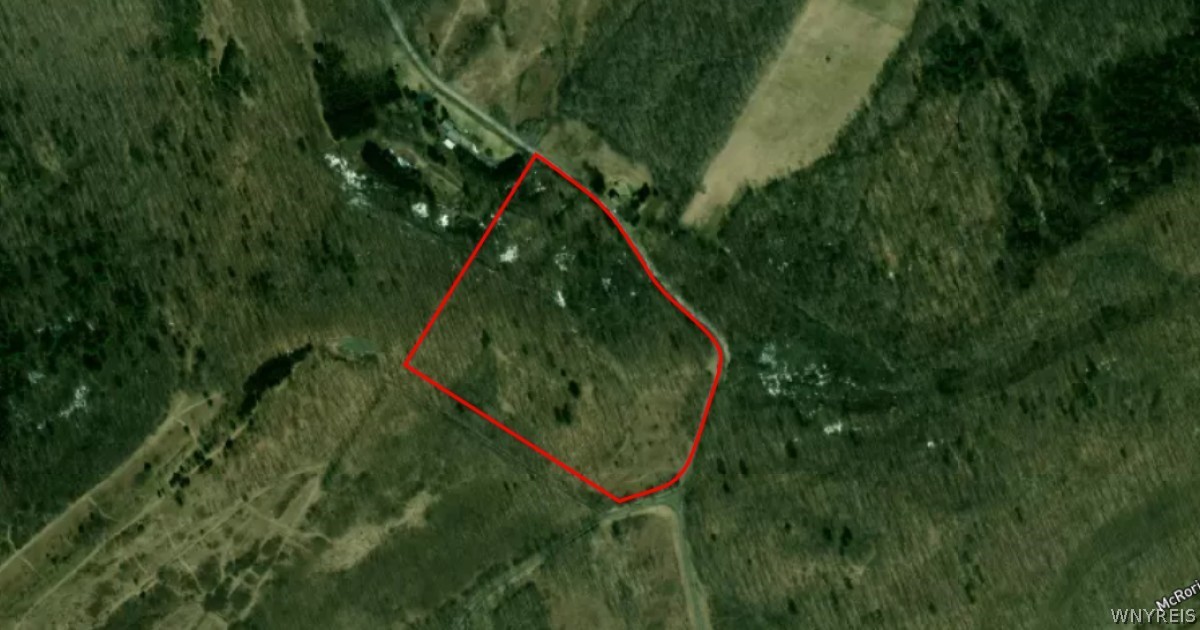 0 Buddle Road Richfield Springs, NY 13439 - Photo 2 of 2