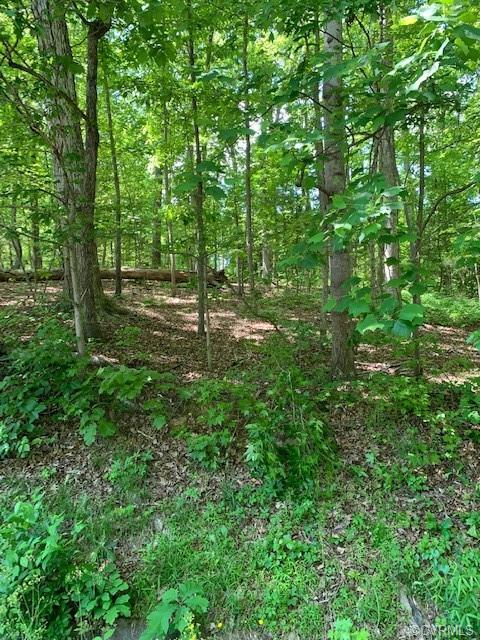 8400 Luton Road North Chesterfield, VA 23235 - Photo 3 of 4 Gallery Image 3