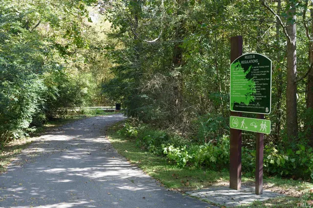 a view of a park with large trees