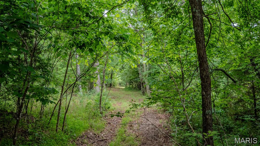 0 Hwy M Cabool, MO 65689 - Photo 25 of 68
