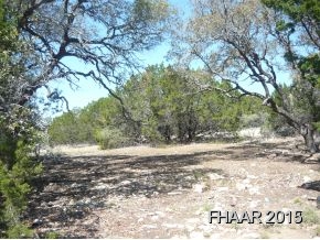 a view of a yard with large trees