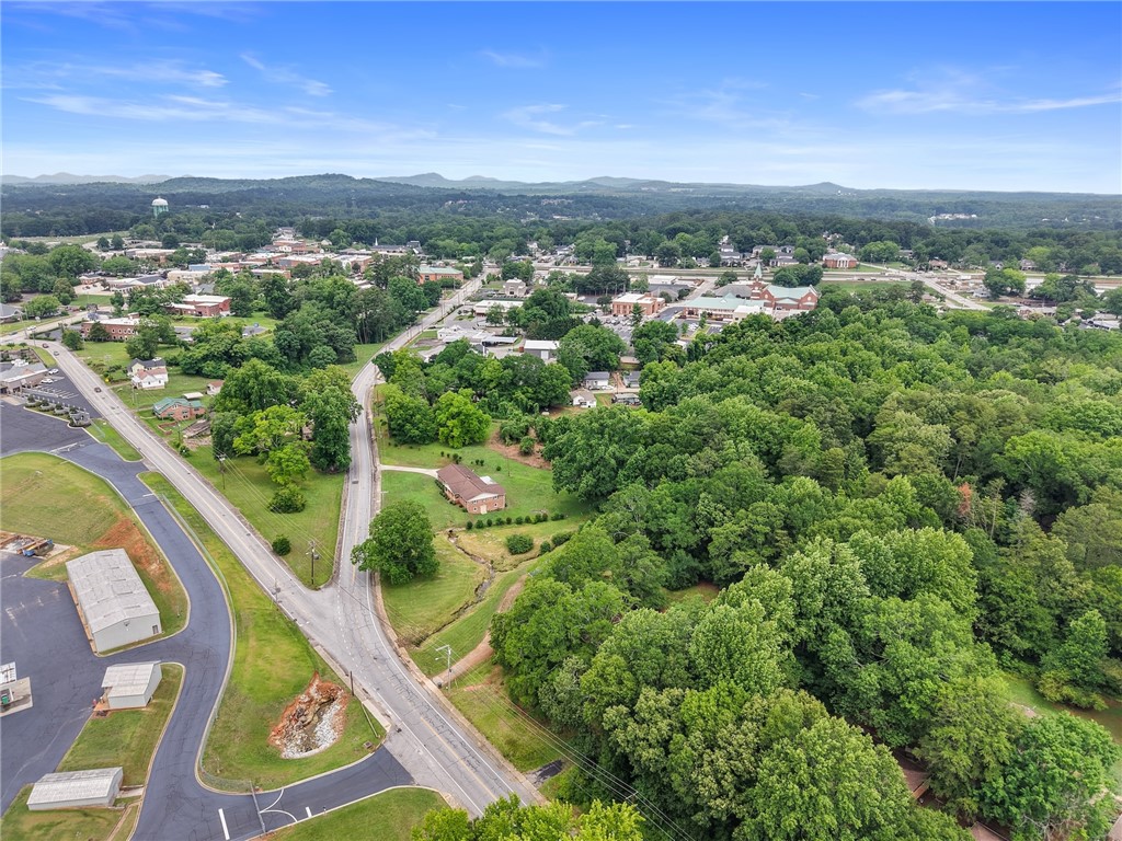 203 East 2nd Avenue Easley, SC 29640 - Photo 28 of 29 View of Downtown Easley
