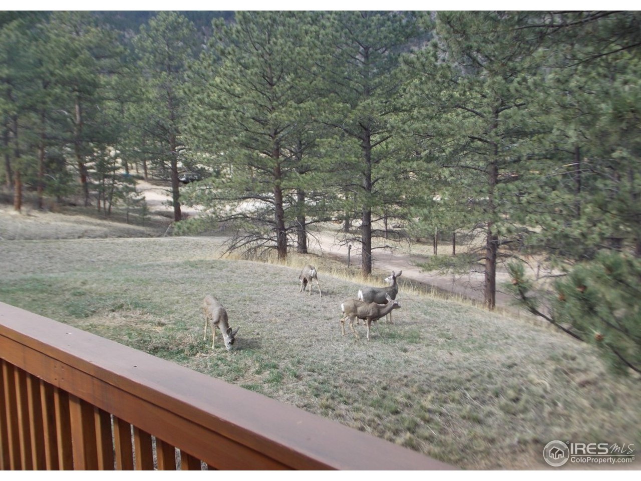 86 Sioux Road Lyons, CO 80540 - Photo 3 of 40 Gallery Image 3