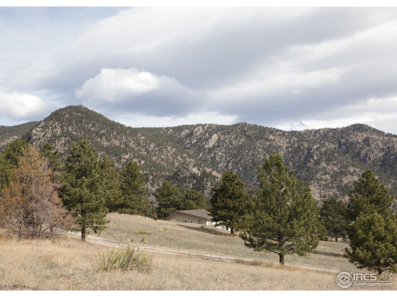 86 Sioux Road Lyons, CO 80540 - Photo 9 of 40 Gallery Image 9
