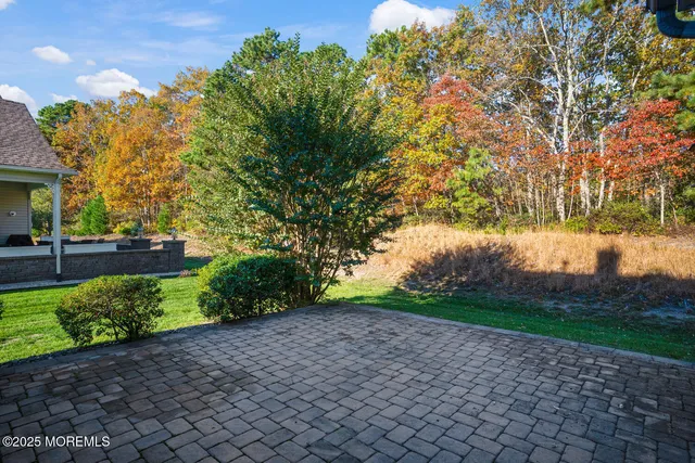 a view of backyard with green space