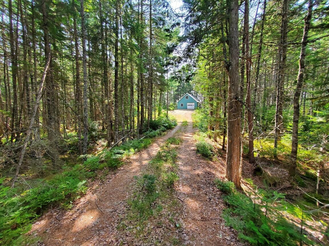 45 Abbey Road Beddington, ME 04622 - Photo 34 of 35 long driveway