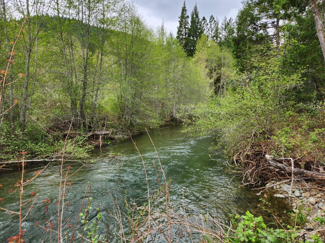 967 Placer Road Wolf Creek, OR 97497 - Photo 10 of 12 20230503225702066853000000-o