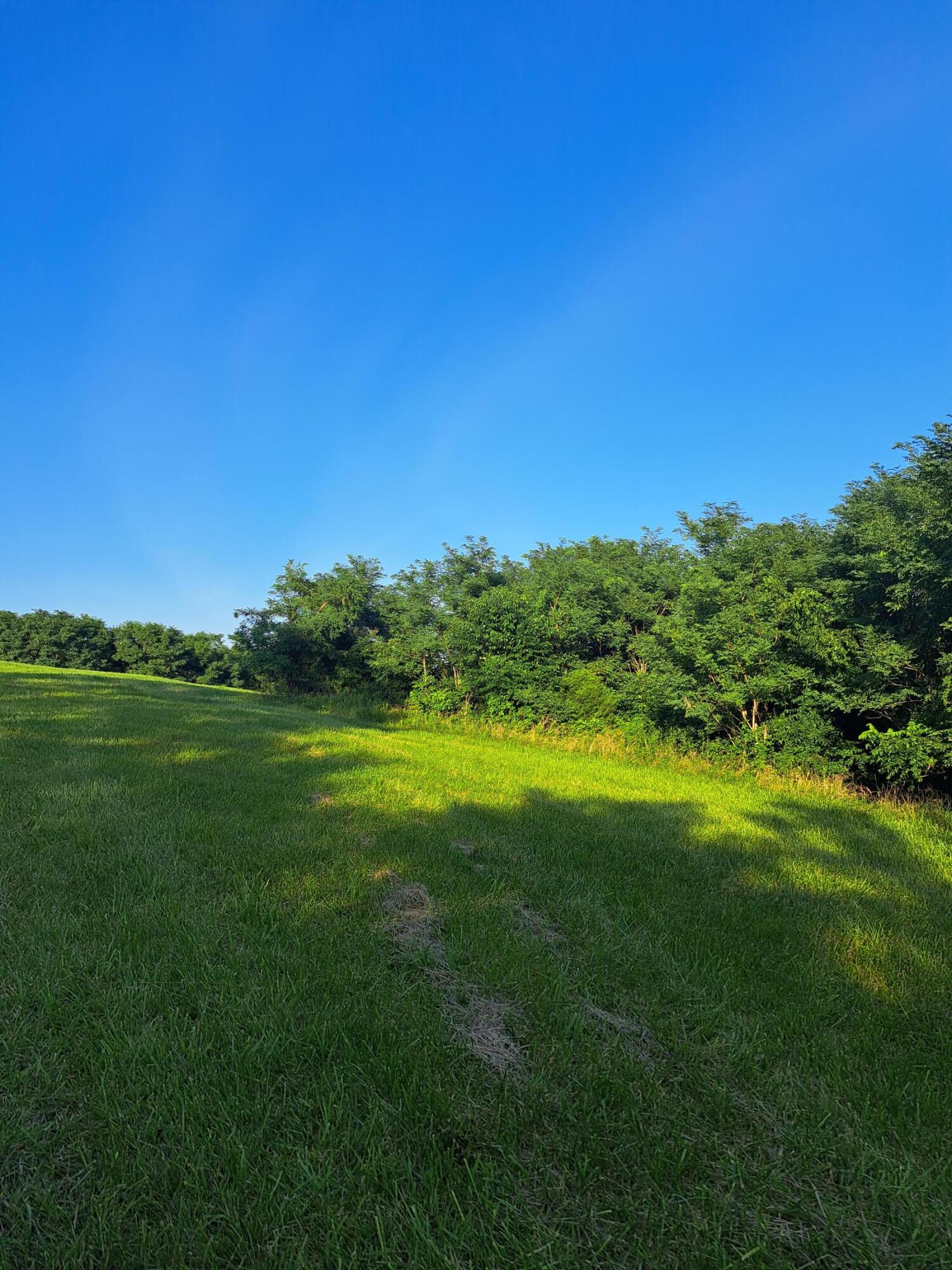 0 Layton Chapel Road Corinth, KY 41010 - Photo 5 of 10 Gallery Image 5