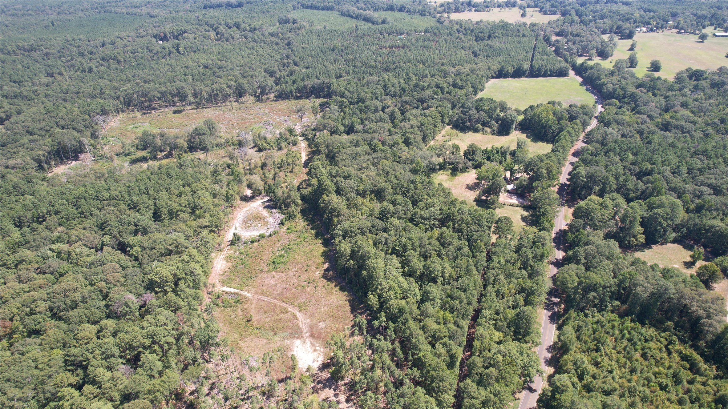 0 Plainview Road Pineland, TX 75968 - Photo 2 of 6