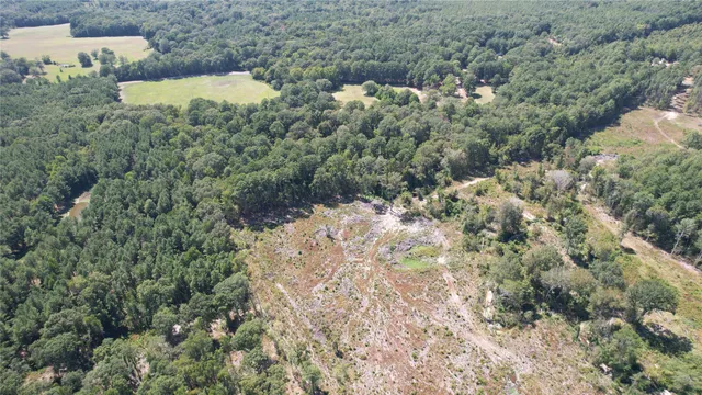 $165,000 | 0 Plainview Road, Pineland, TX 75968